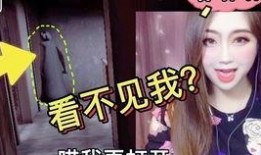 娛樂吃瓜密室逃脫,一場(chǎng)驚心動(dòng)魄的逃脫之旅